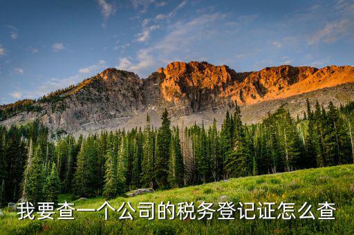 如何查詢稅務(wù)登記表，稅務(wù)登記證查詢