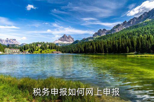 自然人如何網(wǎng)上報稅，稅務(wù)申報如何網(wǎng)上申報