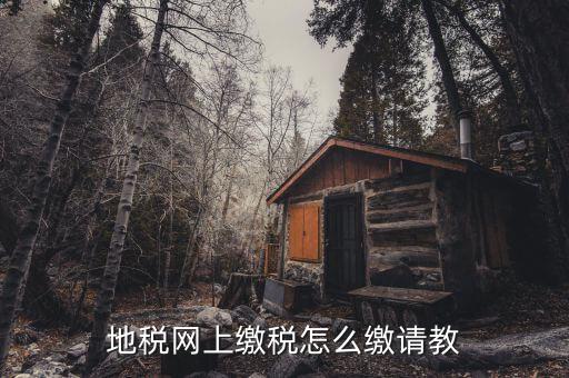 地稅如何交稅嗎，地稅網(wǎng)上繳稅怎么繳請(qǐng)教