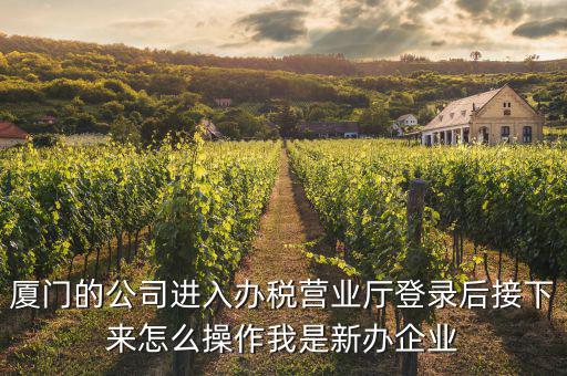 廈門公司如何辦理稅務(wù)，廈門公司如何申請一般納稅人