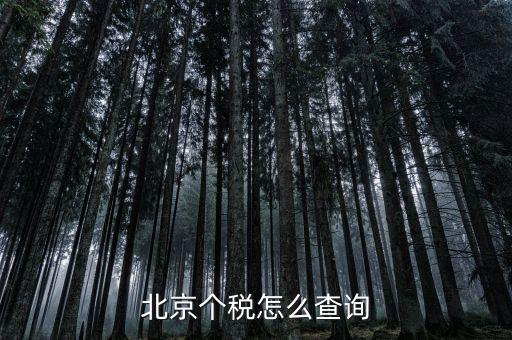 北京地稅局官網(wǎng)如何查個稅，怎么查詢最新北京個稅繳納情況