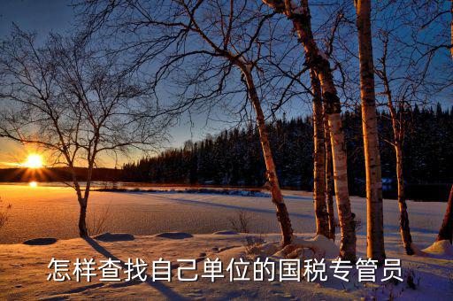 怎樣查找自己?jiǎn)挝坏膰悓９軉T