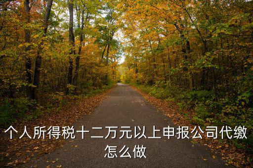 如何做好12萬元申報征收工作，個人所得稅十二萬元以上申報公司代繳怎么做