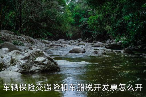車輛保險(xiǎn)交強(qiáng)險(xiǎn)和車船稅開(kāi)發(fā)票怎么開(kāi)