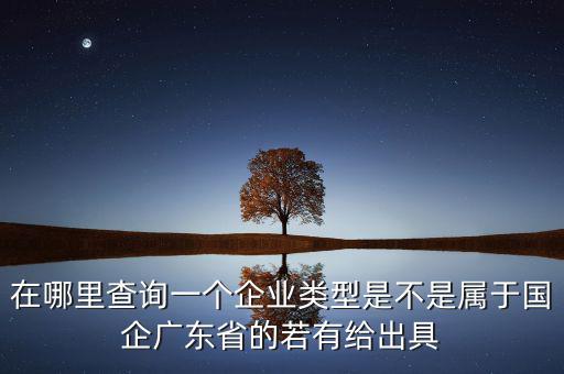 單位類型如何查詢，如何查詢企業(yè)管理類別