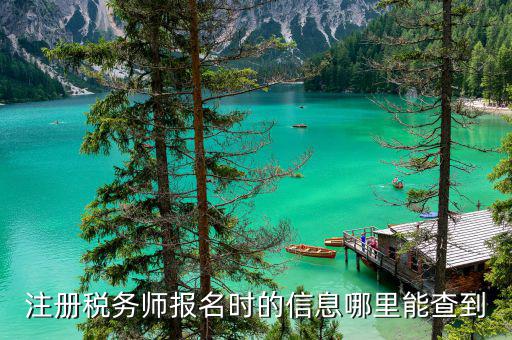 如何查詢注冊稅務(wù)師信息，注冊稅務(wù)師報名時的信息哪里能查到
