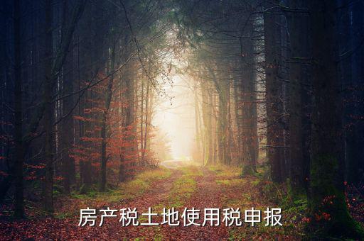 金稅三期如何申報(bào)土地使用稅，房產(chǎn)稅土地使用稅申報(bào)