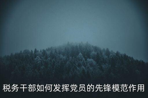 稅收征管改革黨員如何發(fā)揮作用，稅務(wù)干部如何發(fā)揮黨員的先鋒模范作用