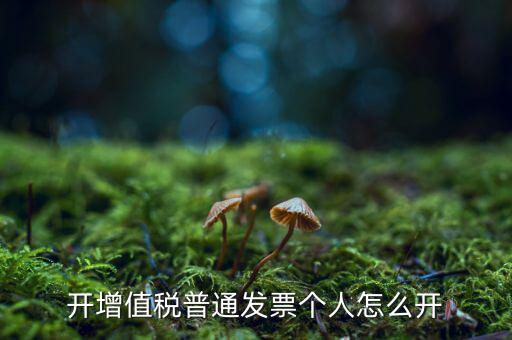 普票如何開給個人，增值稅普通發(fā)票開個人需要什么資料