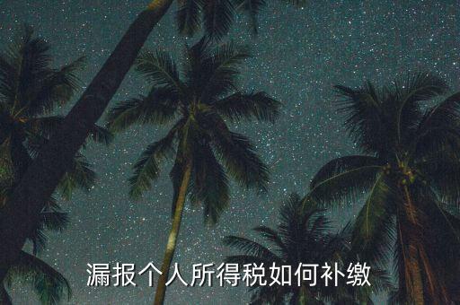 安徽省個稅如何補充申報，漏報個人所得稅如何補繳