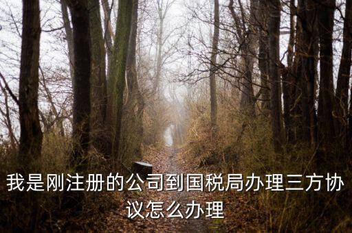 如何激活稅務(wù)三方協(xié)議，稅務(wù)三方協(xié)議怎樣激活