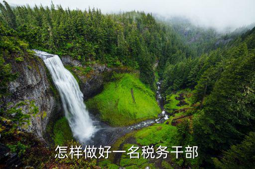 如何做新時代優(yōu)秀稅務干部，新時代稅務干部需要什么樣的奮斗精神