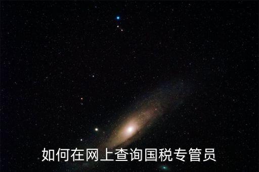 如何在網(wǎng)上查詢(xún)國(guó)稅專(zhuān)管員