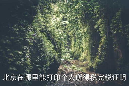 北京如何打個稅證明，北京買房 如何開個稅證明