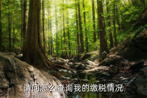 繳納稅款如何查詢，請(qǐng)問(wèn)怎么查詢我的繳稅情況
