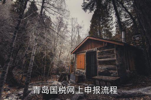 青島國(guó)地稅如何申報(bào)，國(guó)稅怎么申報(bào)