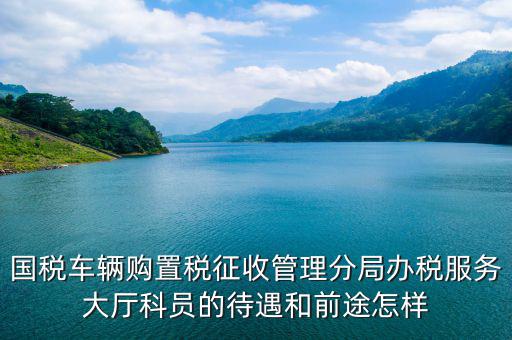 辦稅員工資如何，國(guó)稅車(chē)輛購(gòu)置稅征收管理分局辦稅服務(wù)大廳科員的待遇和前途怎樣
