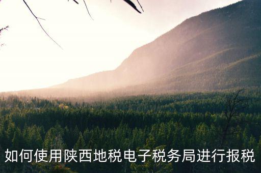 如何使用陜西地稅電子稅務(wù)局進行報稅