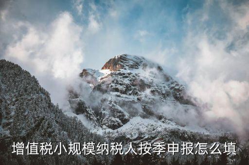 小規(guī)模納稅人如何按季申報(bào)，增值稅小規(guī)模納稅人按季申報(bào)怎么填