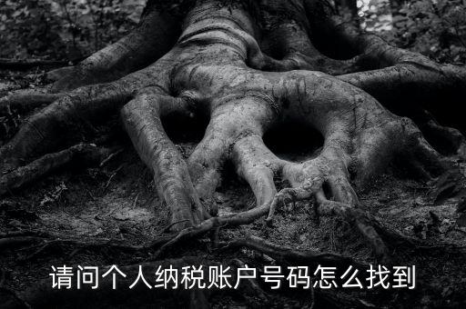 如何查詢個(gè)人稅務(wù)編號(hào)查詢，如何查看個(gè)人名下的稅務(wù)證