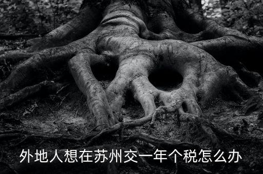 蘇州如何補繳個稅，外地人想在蘇州交一年個稅怎么辦