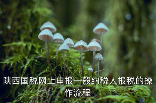陜西國稅網(wǎng)上申報一般納稅人報稅的操作流程