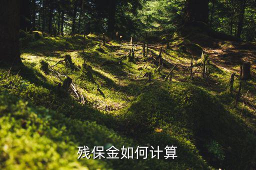 2016年杭州殘疾人保障金如何計算方法，殘疾人保障金計算方式