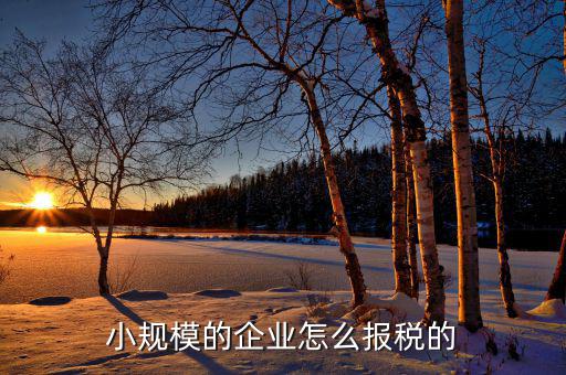 小企業(yè)會(huì)計(jì)如何報(bào)國(guó)稅，企業(yè)會(huì)計(jì)報(bào)稅流程是怎么樣的