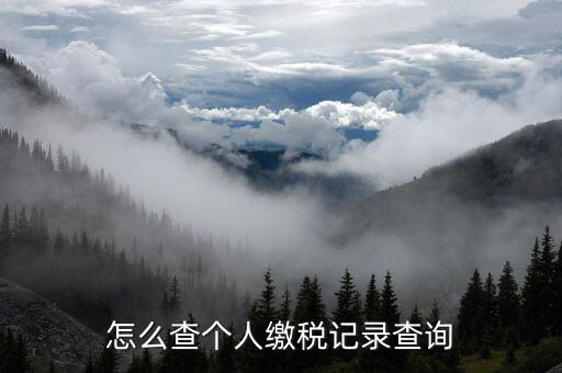陜西省如何查詢個(gè)稅繳納記錄，怎樣查看個(gè)稅和附加稅是否已交