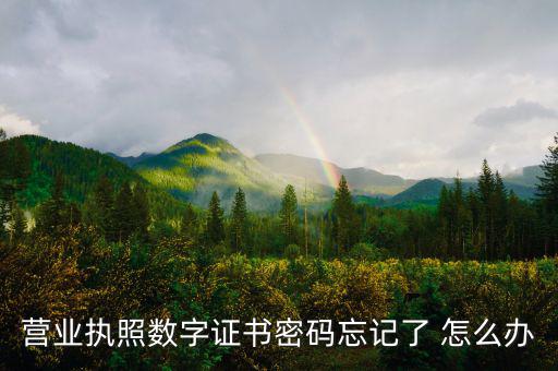 如何找回數(shù)字證書密碼，營業(yè)執(zhí)照數(shù)字證書密碼忘記了 怎么辦