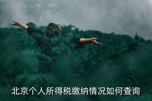 北京地稅個人如何查詢，如何查詢個人所得稅繳稅記錄