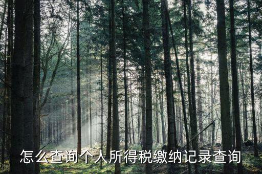 沈陽如何查個人所得稅繳費明細，如何查詢個人所得稅申報明細情況