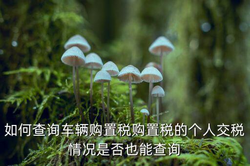如何查詢(xún)車(chē)輛購(gòu)置稅購(gòu)置稅的個(gè)人交稅情況是否也能查詢(xún)