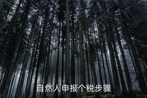 自然人稅收如何申報(bào)表，自然人申報(bào)個(gè)稅步驟