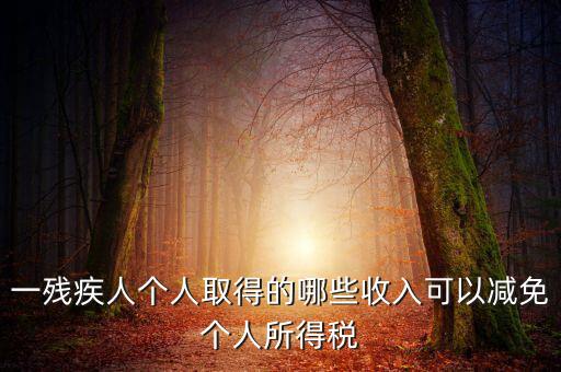 殘疾人減免個(gè)稅如何做賬，有殘疾人免稅證明在個(gè)人所得稅申報(bào)系統(tǒng)中如何填寫(xiě)急
