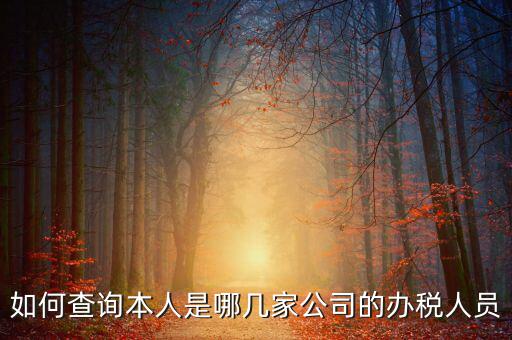 如何查詢企業(yè)辦稅人信息，怎么查詢單位登記稅務(wù)經(jīng)辦人