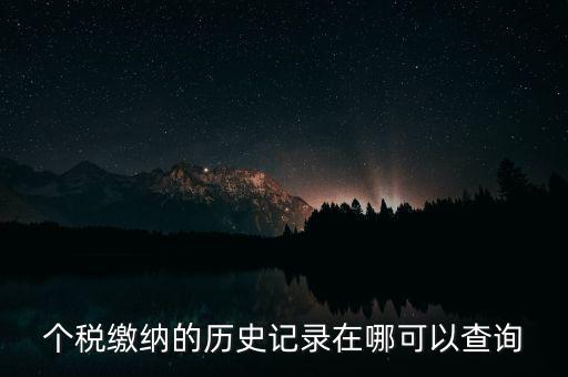 如何查詢個(gè)人所得稅繳費(fèi)記錄，怎么查詢最新個(gè)人所得稅繳納記錄