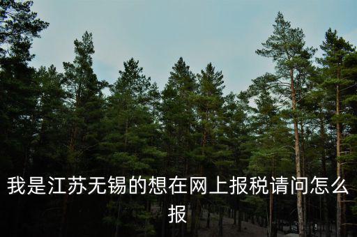 我是江蘇無錫的想在網(wǎng)上報(bào)稅請問怎么報(bào)