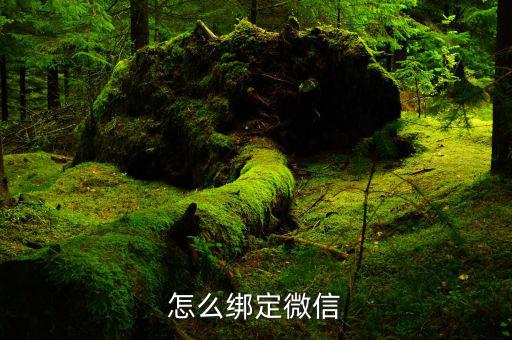 微信如何綁定深圳國(guó)稅，怎么綁定微信