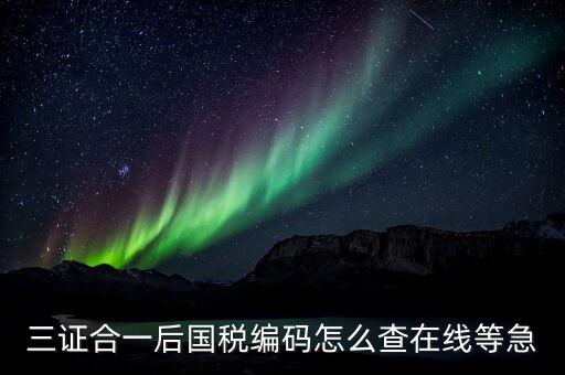 個人稅務(wù)編號如何查，請問在哪里可以查到納稅人編碼
