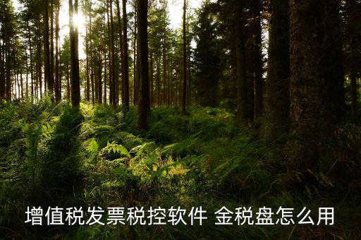 稅控盤如何用，我想問下 稅控盤如何使用