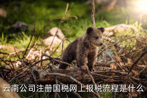 如何進入云南網(wǎng)上稅務(wù)申報系統(tǒng)，如何進行網(wǎng)上稅務(wù)申報