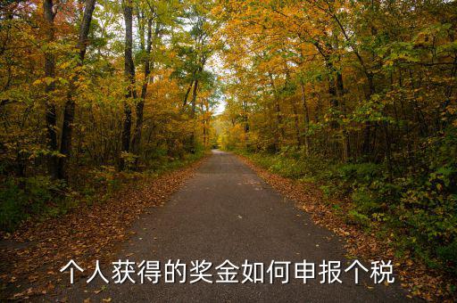 如何將獎(jiǎng)金的稅款繳納至稅務(wù)局，個(gè)人獲得的獎(jiǎng)金如何申報(bào)個(gè)稅