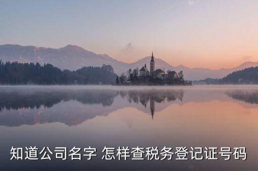公司國稅編號如何查詢系統(tǒng)，公司的稅務(wù)登記證號怎么查詢