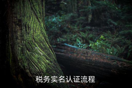 四川省稅務(wù)局如何實(shí)名采集信息，四川網(wǎng)上稅務(wù)局12366掌廳怎么實(shí)名采集掃哪個二維碼
