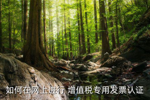 增值稅專用票如何在網(wǎng)上申請，購買增值稅專用發(fā)票要先在網(wǎng)上怎么操作