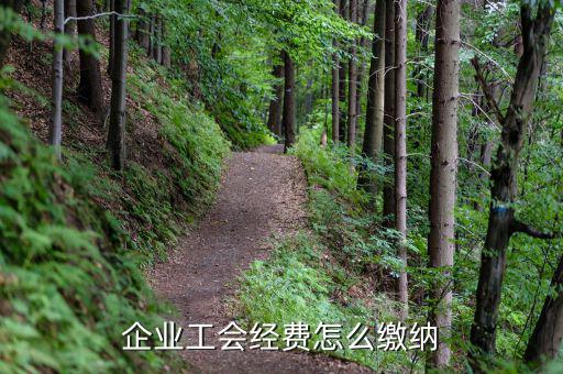 工會(huì)組織成立后如何繳費(fèi)，公司要怎么交工會(huì)經(jīng)費(fèi)