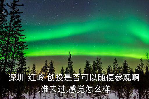 紅嶺創(chuàng)投實(shí)力怎么樣,點(diǎn)對點(diǎn)借貸平臺分為兩個產(chǎn)品