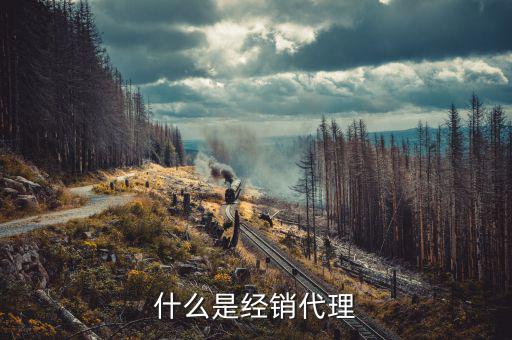 soho怎么推銷(xiāo)產(chǎn)品,代理不擁有產(chǎn)品所有權(quán)只能收取傭金