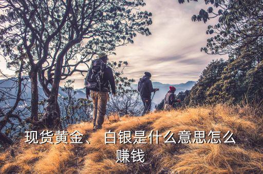  現(xiàn)貨黃金、 白銀是什么意思怎么 賺錢
